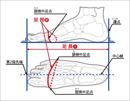 自分の足のサイズは？（測り方）