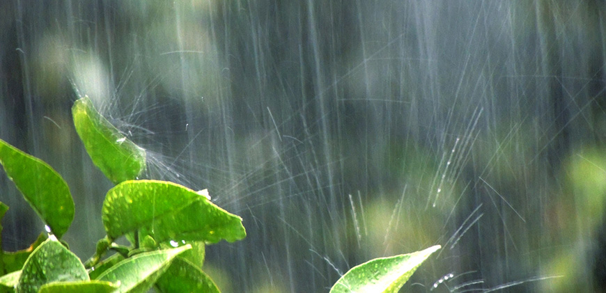 【注意】夏雨は暑い。