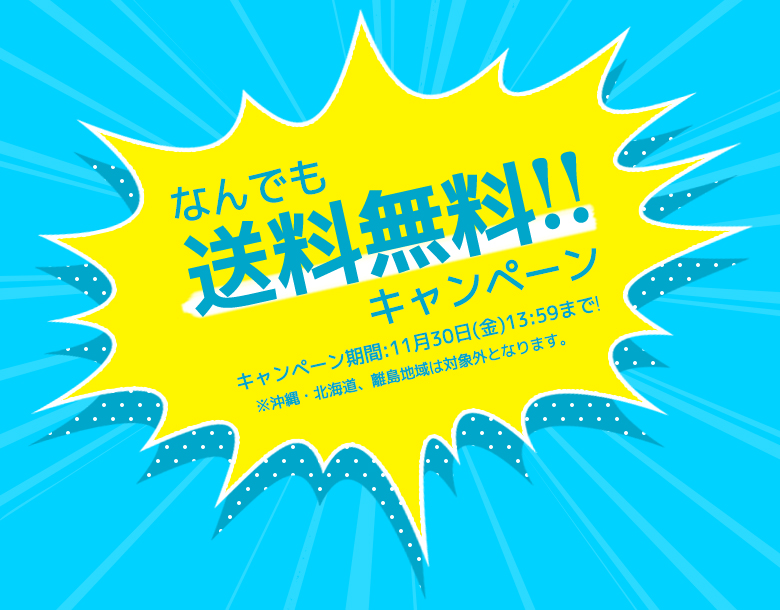 なんでも送料無料!!キャンペーン