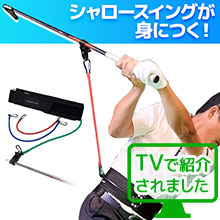 シャローベルトテレビ紹介