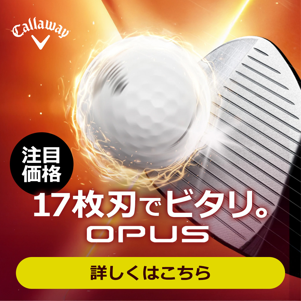 OPUSウェッジ