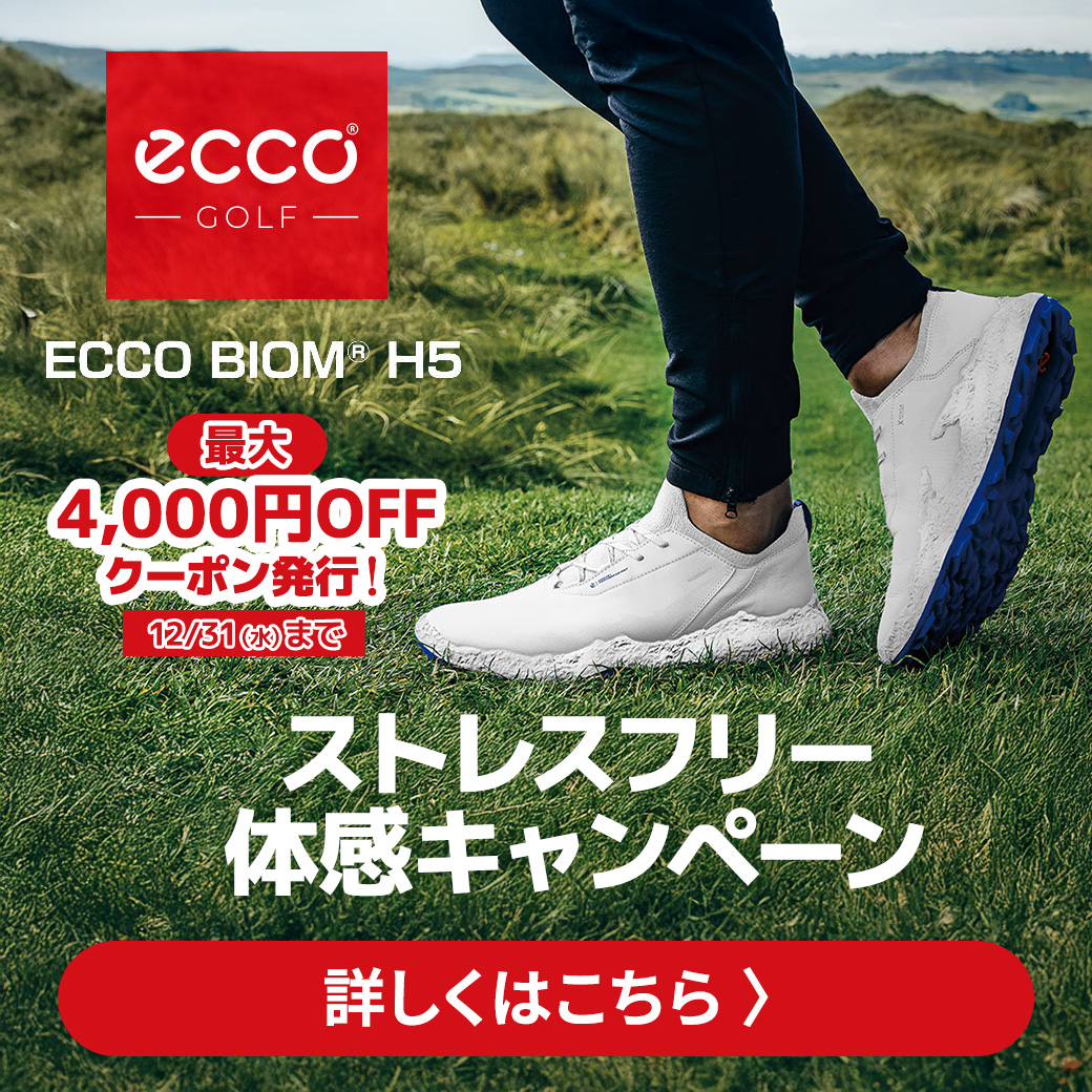 エコーシューズ