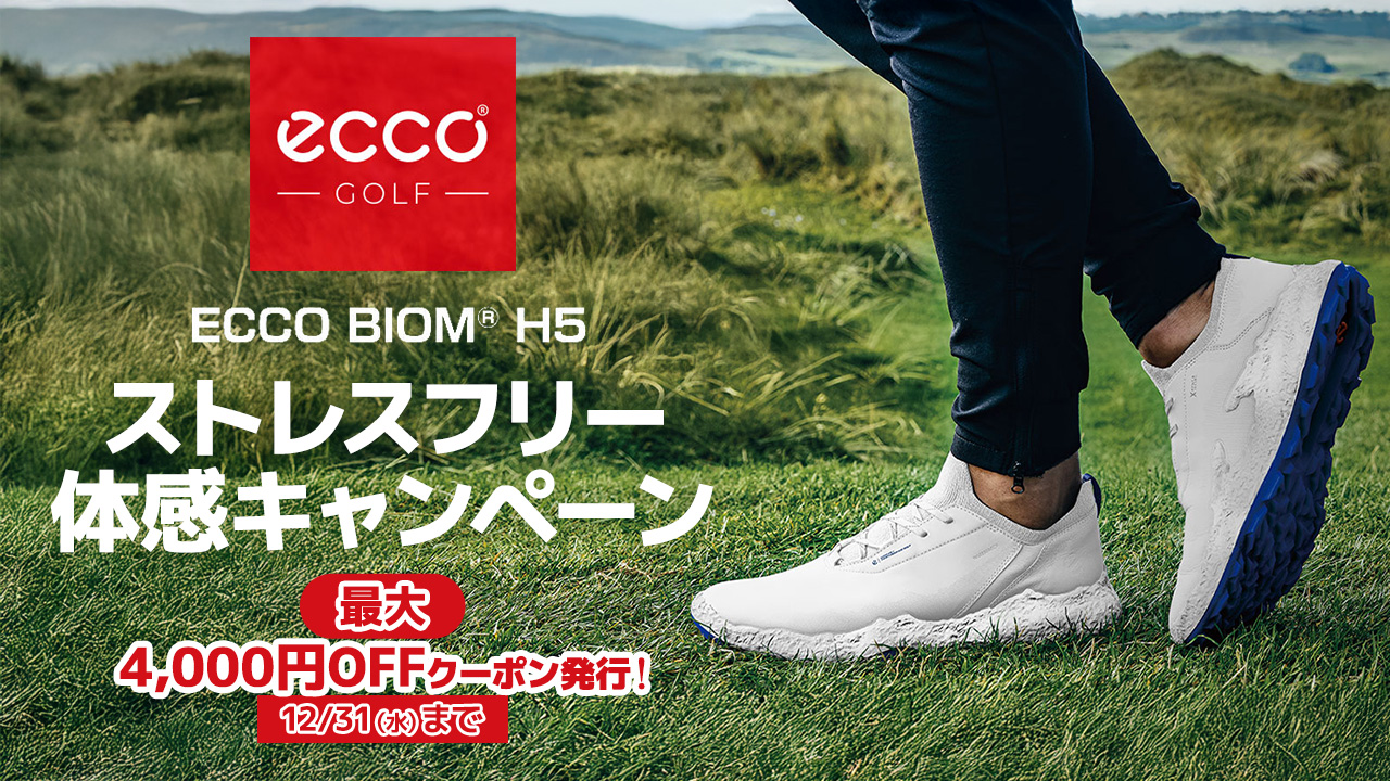 エコーキャンペーン