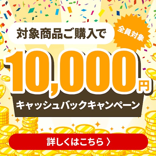 キャッシュバッグ