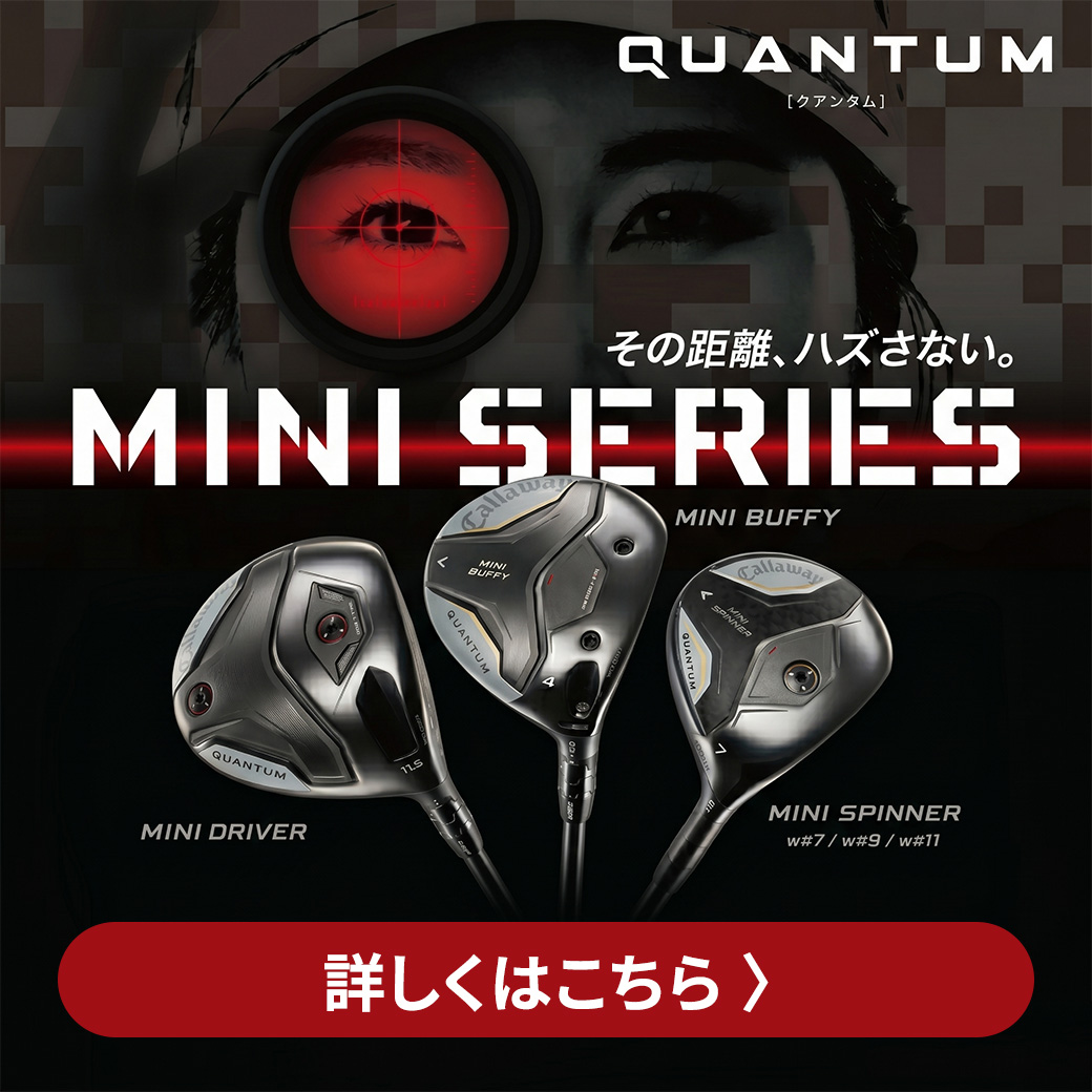 クアンタムミニ