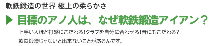 軟鉄鍛造アイアン